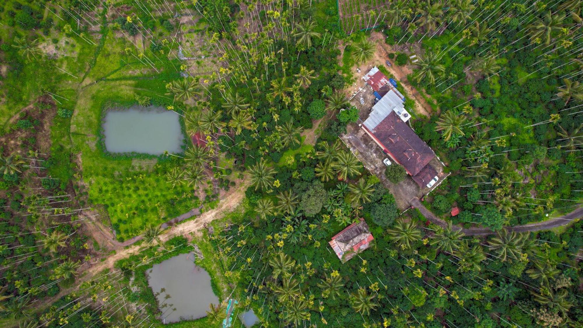 Wayanad Palm Grove Retreat G Floor Apartment สุลต่านบาเทรี ภายนอก รูปภาพ