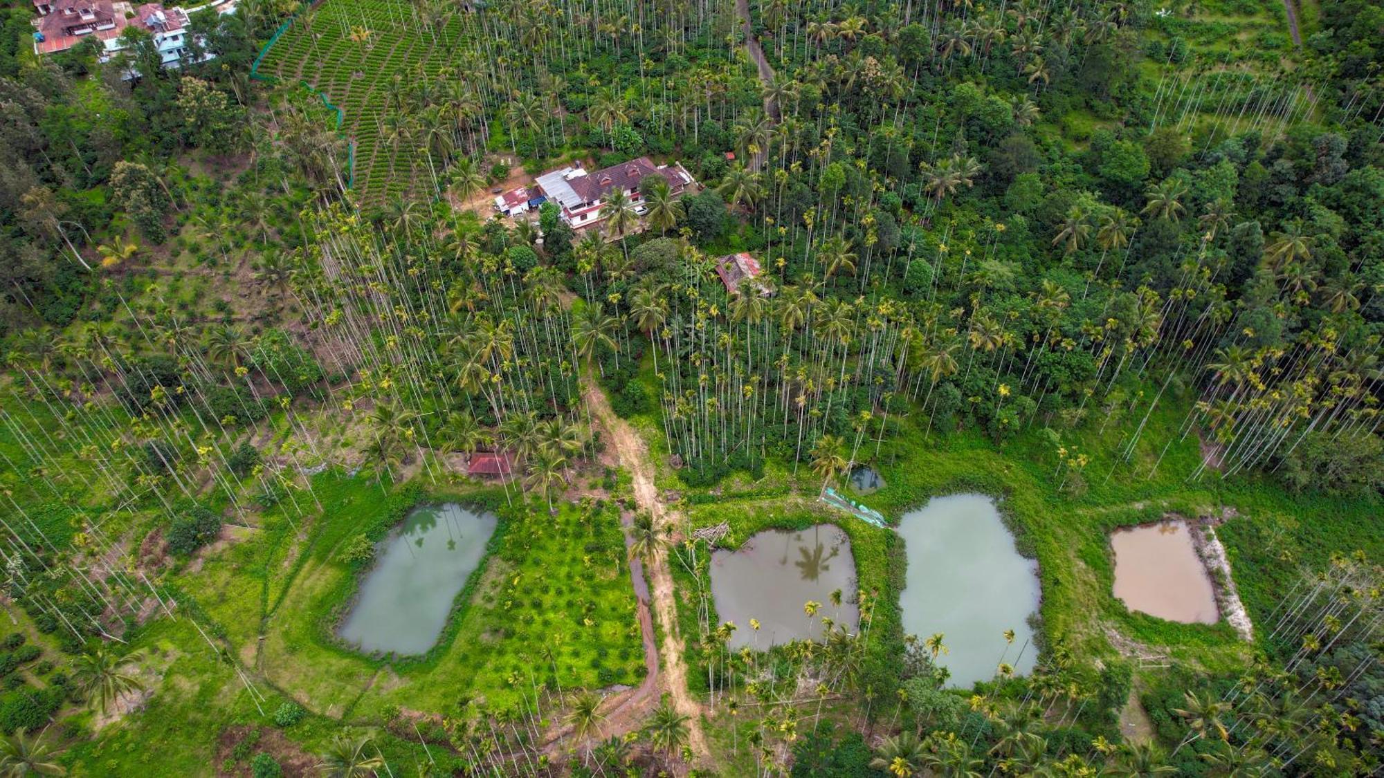 Wayanad Palm Grove Retreat G Floor Apartment สุลต่านบาเทรี ภายนอก รูปภาพ