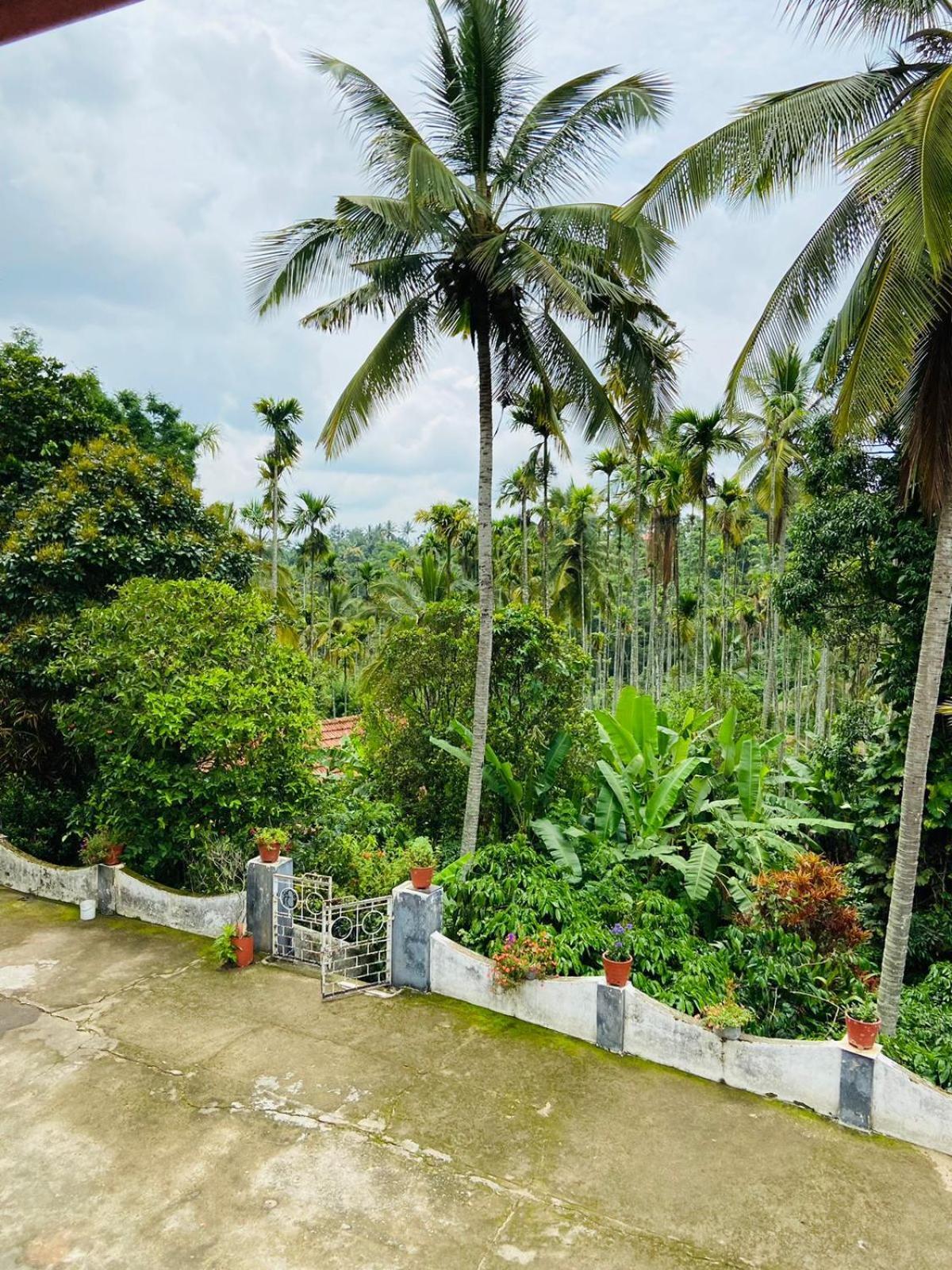 Wayanad Palm Grove Retreat G Floor Apartment สุลต่านบาเทรี ภายนอก รูปภาพ
